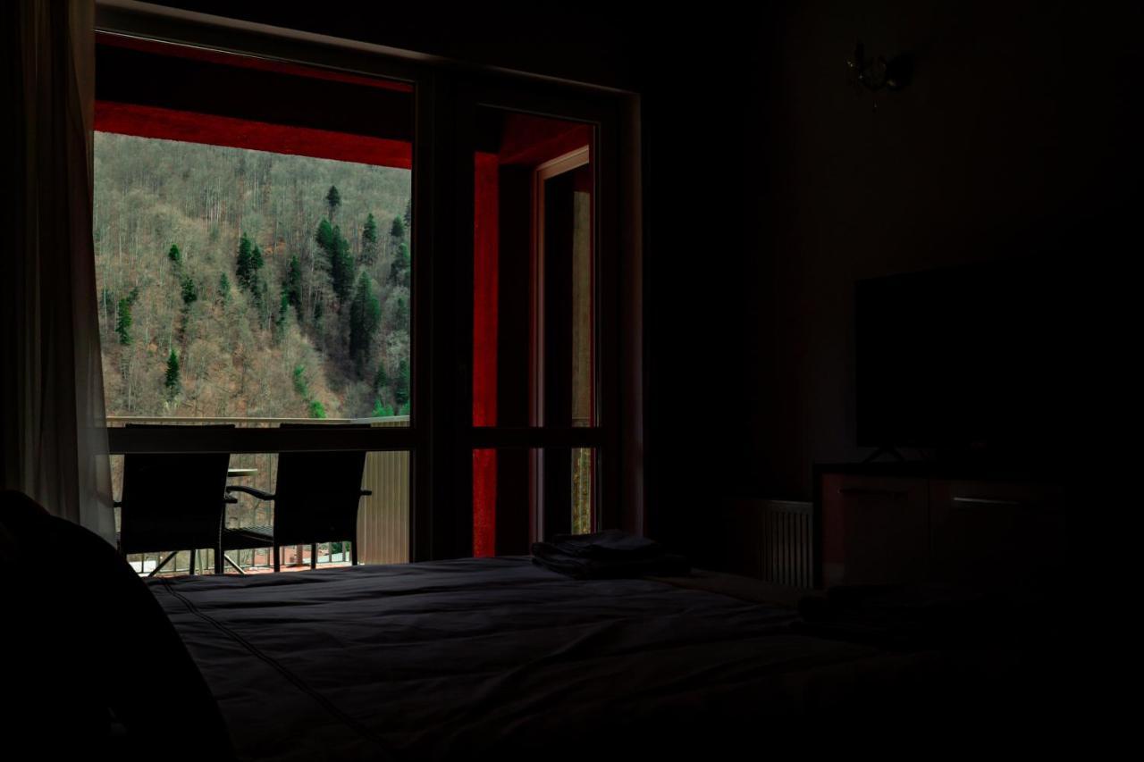 Elite Apartments Sinaia Eksteriør billede