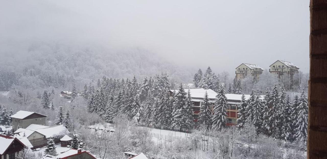 Elite Apartments Sinaia Eksteriør billede